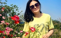 虎胆龙威4百度影音